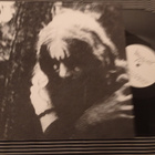 DOMINION The Black Domains LP - pikkukuva 1