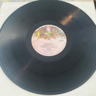 Unicorn: Blue Pine Tree (Charisma 1974) LP - David Gilmour - pikkukuva 3