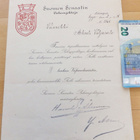 Luovari ym Vapaudenristi 1918 4 lk Tunnettu Saaja 2-osainen - pikkukuva 2