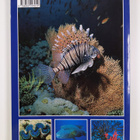 Andrea Ghisotti : The Red sea - pikkukuva 2