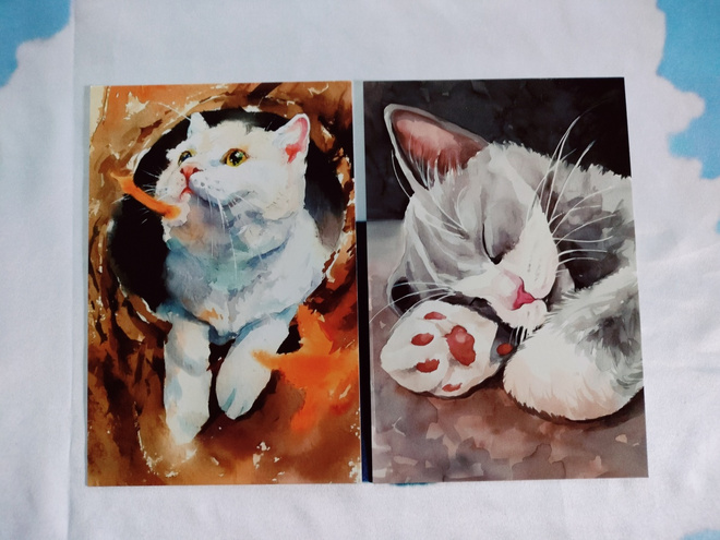 ~Kissa kortti~ 2kpl