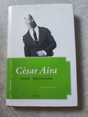 Varamo / Maisemamaalari César Aira