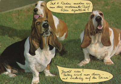 BASSET POSTIKORTTI