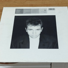 Peter Gabriel Shaking the tree LP - pikkukuva 2