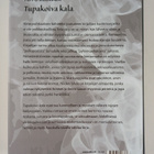 Teppo Kulmala : Tupakoiva kala - pikkukuva 2