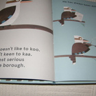 Bunting Kookaburras love to laugh - pikkukuva 2
