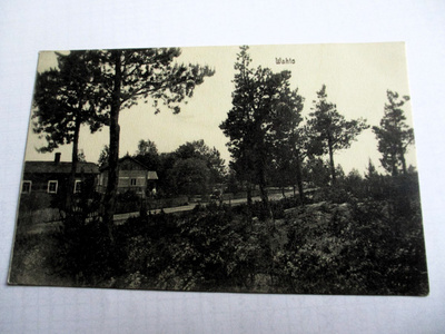 Vahto - 1909