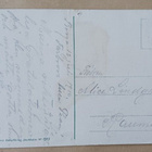 Signe Aspelin: Tyttö ja koirien laulukuoro onnittelevat 1910 - pikkukuva 2