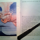 Roine Raul: Sitruunankeltainen papukaija, v. 1938 - pikkukuva 4