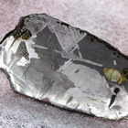 Meteoriitti levy pallasiitti 101 x 2 mm zoomorfinen Seymchan - pikkukuva 4