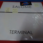 SALOME - TERMINAL M-/EX+ 2LP - pikkukuva 1