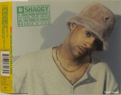Shaggy • Something Different / The Train Is Coming CD-Single