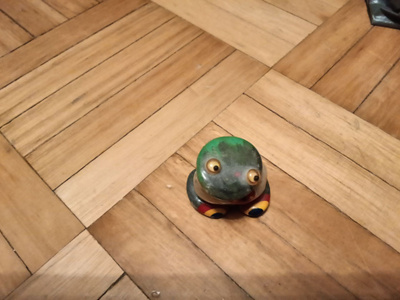Sammakko
