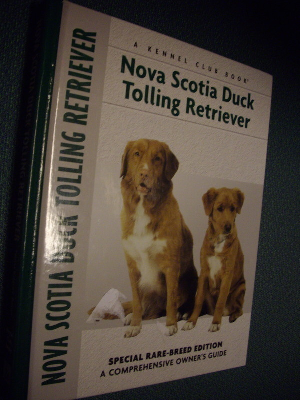 Nova Scotia Duck Tolling Retriever (2005) Sis.postikulut