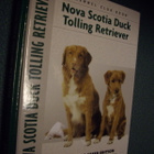 Nova Scotia Duck Tolling Retriever (2005) Sis.postikulut - pikkukuva 1