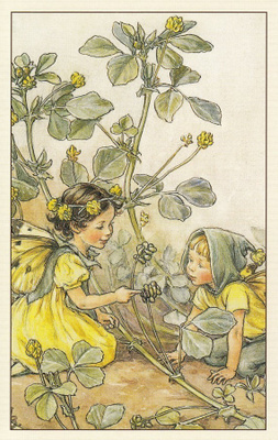 Cicely Mary Barker: Nurmimailasen keijut