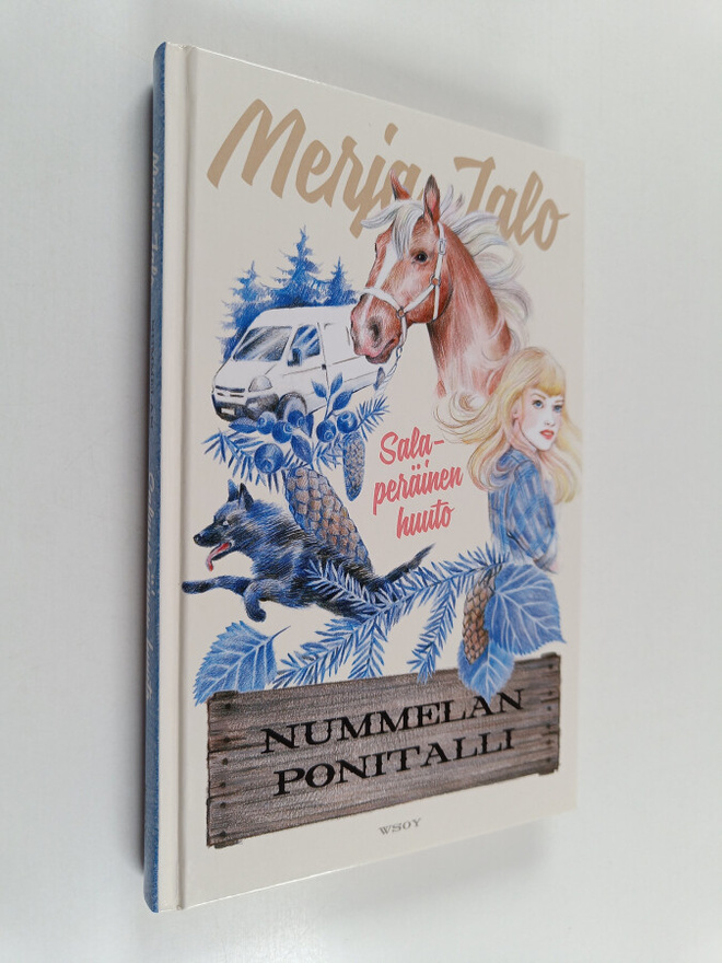 Merja Jalo : Salaperäinen huuto