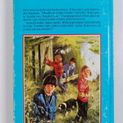 Enid Blyton : Viisikko retkellä - pikkukuva 2