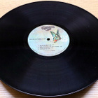 The Quinaimes Band - The Quinaimes Band LP 1971 - pikkukuva 5