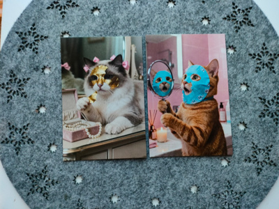 ~Kissa kortti~ 2kpl