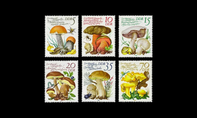 DDR 2551-6 ** Sieniä (1980)