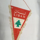 Viiri Libanon - pikkukuva 2