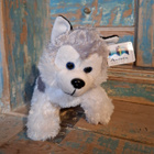 Husky pehmolelu Aurora - pikkukuva 1