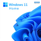 Windows 11 USB v2 (24H2) OHITTAA VAATIMUKSET (TPM,CPU,RAM) - pikkukuva 2