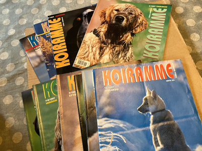 KOIRAMME LEHTI VUOSIKERTA 1997 HYVÄ