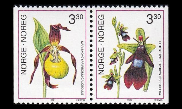 Norja 1088-9 ** Orkideoita (1992)