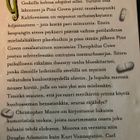 MOORE: HILJAISEN POUKAMAN HIMOLISKO - pikkukuva 2