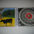 Skid Row - 40 Seasons The Best Of (CD) - pikkukuva 3
