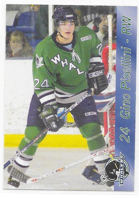 2003-04 Plymouth Whalers #24 Gino Pisellini farmi gooni