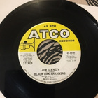 BLACK OAK ARKANSAS: Jim Dandy * Red Hot Lovin’ *USA 1973 - pikkukuva 2
