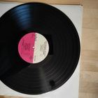 Viljo Vesterinen lp - pikkukuva 3