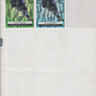 K-Espoo Limited edition Blueline 24-25 / 25-26 s1 / 25-26 s2 - pikkukuva 2