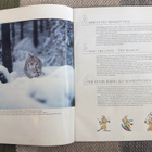 LAHTI 2001 - BULLETIN 2/2000 PUUKANNET/VANERIKANNET - pikkukuva 4