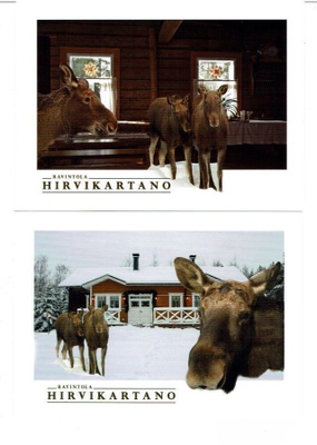 Jämsä, Hirvikartano