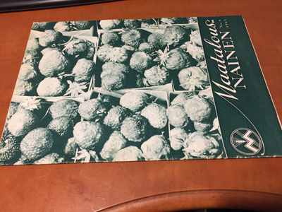 MAATALOUSNAINEN LEHTI 8/1965 HYVÄ