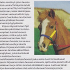 Jackie Budd: Hevosen ja ponin hoito - pikkukuva 3