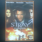 DVD: The Stray (Michael Madsen, Angie Everhart 2000) - pikkukuva 1