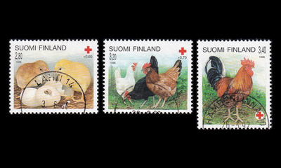1329-31 o Punainen Risti kanoja (1996)