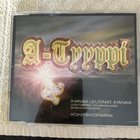 A-Tyyppi feat.A.Mertaranta: Ihanaa Leijonat..1999. - pikkukuva 1