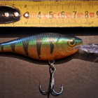 Rapala shad rap! - pikkukuva 2