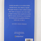 Olli (toim.) Seppälä : Stadilaisten katkismus - pikkukuva 2