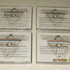 *5CD BOX* DR.FEELGOOD Looking Back box - pikkukuva 3