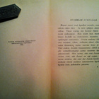 Verneri Louhivuori: Urkkijat kintereillä, v. 1934 - pikkukuva 5