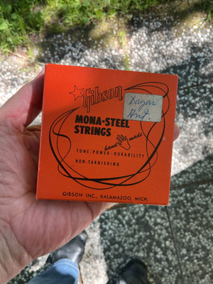 Gibson mona-steel strings