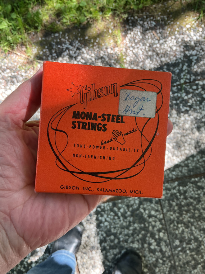 Gibson mona-steel strings