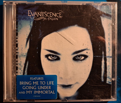 Evanescence - Fallen